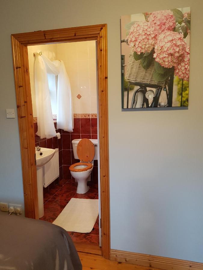 Hillgrove House Apartment Boyle Bagian luar foto